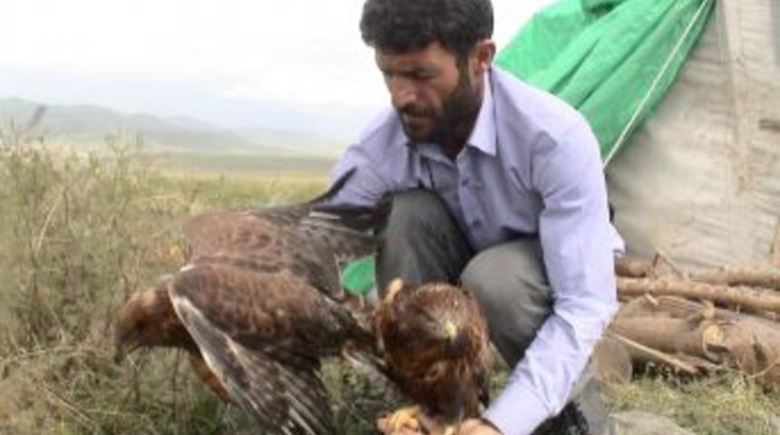 Sahip &ccedil;ıktığı yavru kartalları elleriyle besliyor