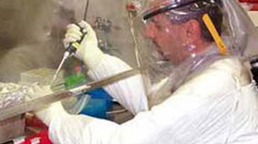 Van'da şarbon can aldı