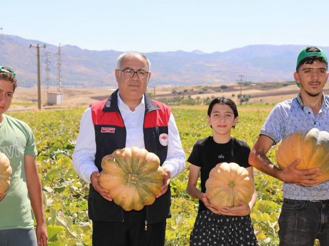 Elazığ&rsquo;da kabak hasadı başladı: 4 bin tonun &uuml;zerinde rekolte bekleniyor