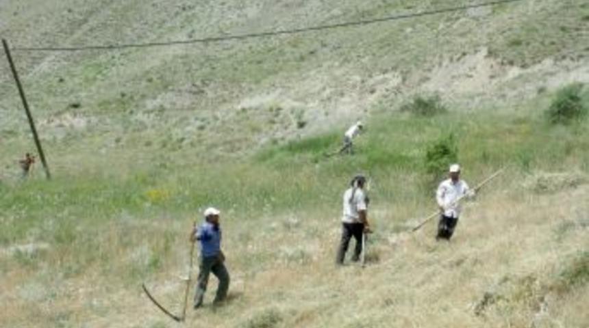 Y&uuml;ksekova'da k&ouml;yl&uuml;ler kış hazırlığına başladı