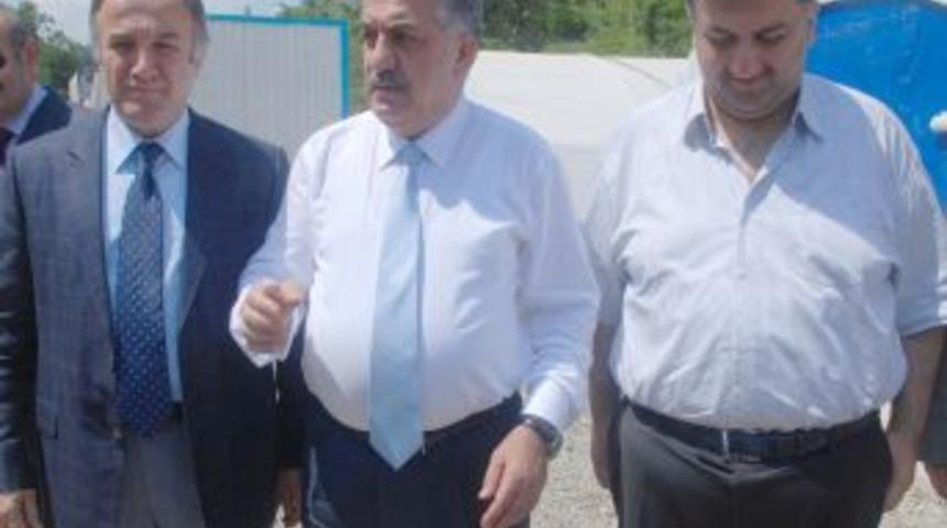 Bakan Yazıcı: B&ouml;ceklerin Karadeniz&rsquo;den toplanmış olması muhtemeldir