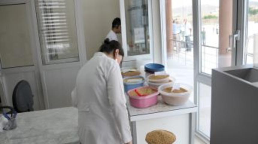 Lidaş, hizmet vermeye başladı