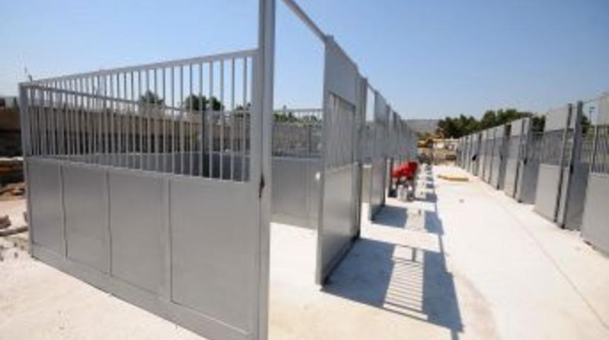 Fiyakalı faytonlar geldi, faytoncular &ouml;zel kıyafetli olacak