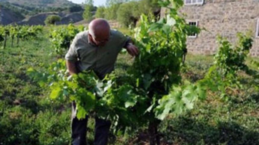 Tunceli'nin dağları bağlarıyla anılacak