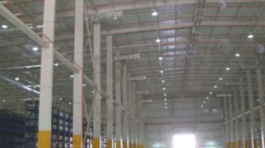 Yalova'nın Kivileri Sug&ouml;ren'de korunacak