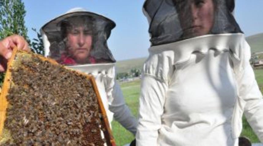 Karslı kadınlar aile b&uuml;t&ccedil;elerine balcılık yaparak katkı sağlayacak