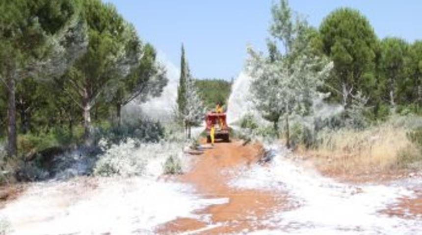 Orman yangınına k&ouml;p&uuml;kle m&uuml;dahale tatbikatı yapıldı