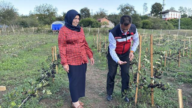 Oğlunun önerisiyle başladı: Şimdi kazanç kapısına dönüştü