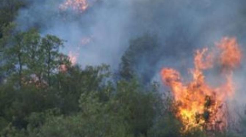 Orman yangını korkuttu