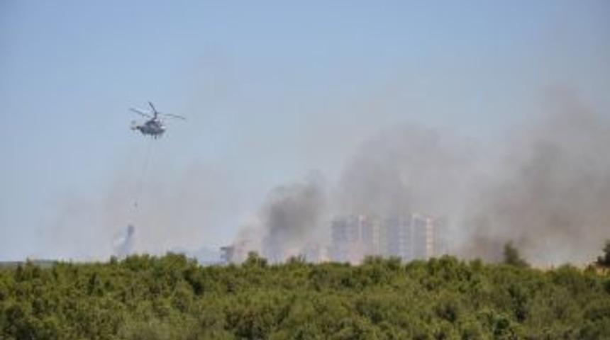 Antalya&rsquo;da 6 hektar ot ve &ccedil;alılık alanı k&uuml;l oldu