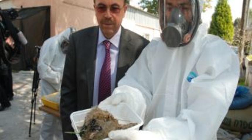 &Ccedil;amkese b&ouml;ceği yuvasından &ccedil;elik yelek ve grip elbisesi &uuml;retilecek