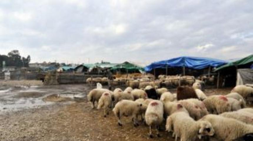 Kronikleşen sorun &ccedil;&ouml;z&uuml;me kavuşturdu