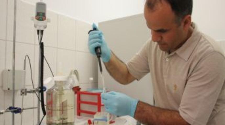 Kimyasal atıkları bakteriler yok edecek