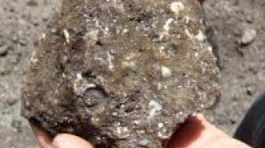 T&uuml;rkiye Gidya cevherini kullanamıyor