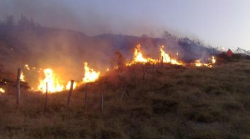 Orman yangını korkuttu