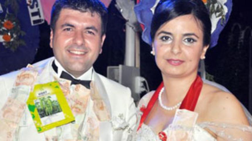 Damada sebze tohumu taktı