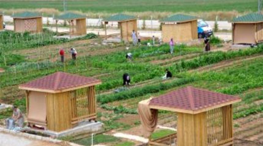 Engelliler hobi bah&ccedil;elerinde rehabilite oluyor