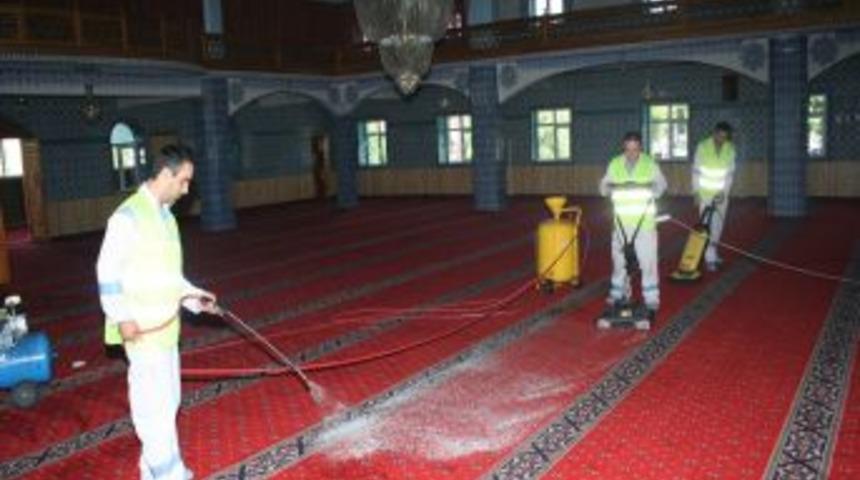 Paland&ouml;ken Belediyesi, Ramazan &ouml;ncesinde camileri temizliyor