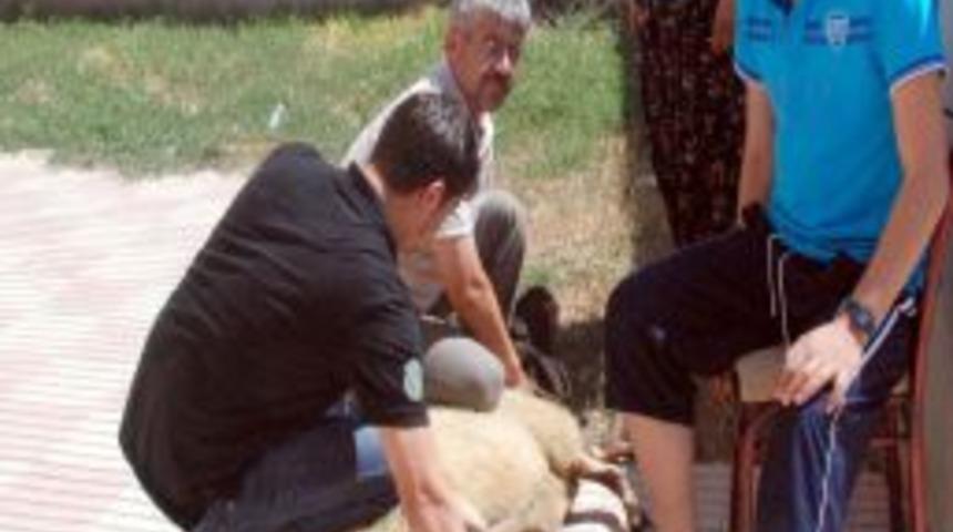 Mayına basmasına rağmen sağ kurtulan asker ailesine kavuştu