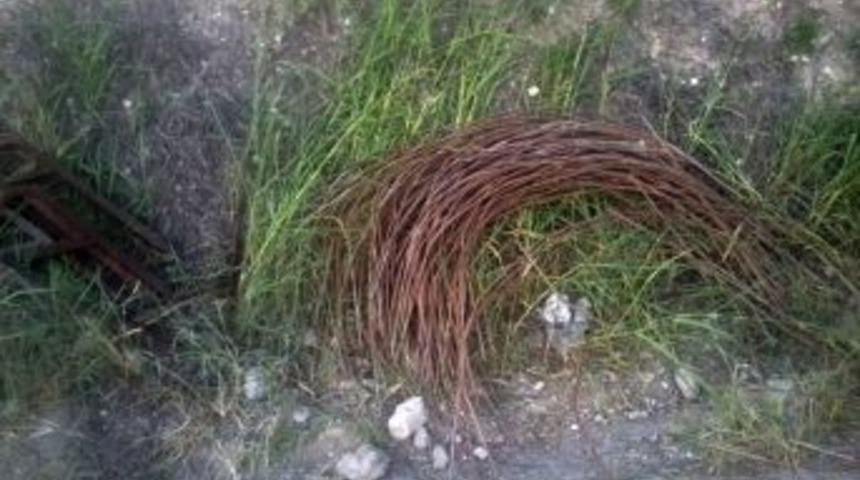 &Uuml;z&uuml;m bağlarının demir &ccedil;ubuklarını &ccedil;almak isterken yakalandılar