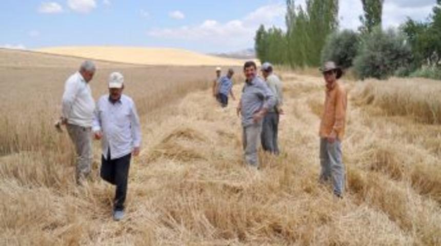 Yerk&ouml;y Ziraat Odası Başkanı Yılmaz: Buğday fiyatı tatmin etmedi