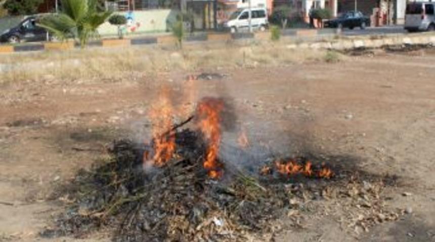 400 k&ouml;k dişi Hint keneviri imha edildi