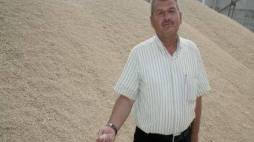 Türkiye artık kendi hububat tohumunu kendisi üretiyor