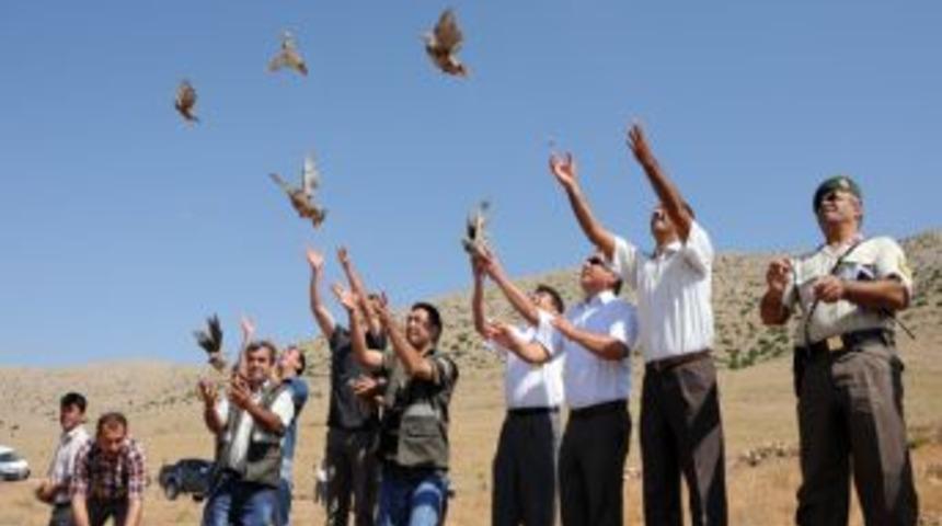 Karaman’da bin kınalı keklik doğaya bırakıldı