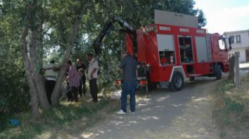 U&ccedil;uruma yuvarlanan tosun, vin&ccedil; yardımıyla kurtarıldı