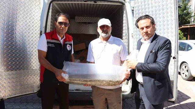 Sivas’ta yüzbinlerce yavru balık göl ve göletlere bırakıldı