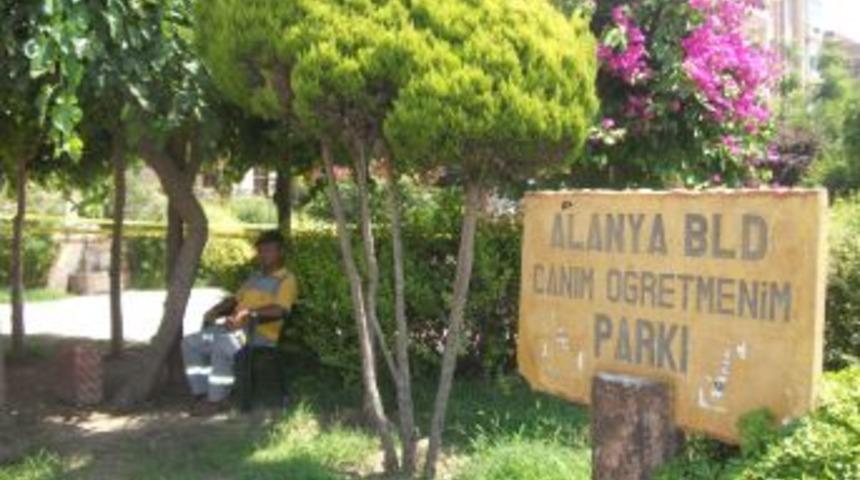 Elektrik akımına kapılan turist hayatını kaybetti, bir kişi de yaralandı