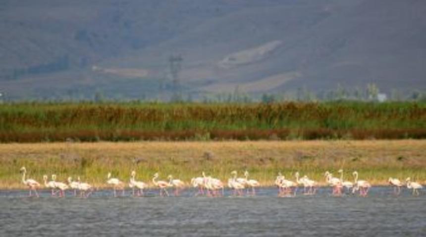 Sultansazlığı son 14 yılın en y&uuml;ksek su seviyesine ulaştı