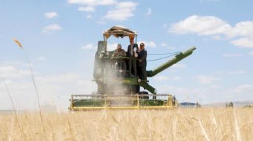 Buğday taban fiyatı çiftçileri tatmin etmedi