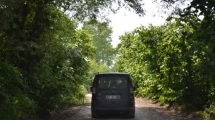 Yolu Ağa&ccedil;lar kapatıyor