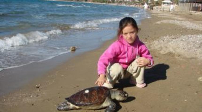 Kızılot'ta deniz kaplumbağalarının &uuml;reme alanları koruma altına alındı