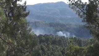 Burdur'da ormanlık alanda yangın