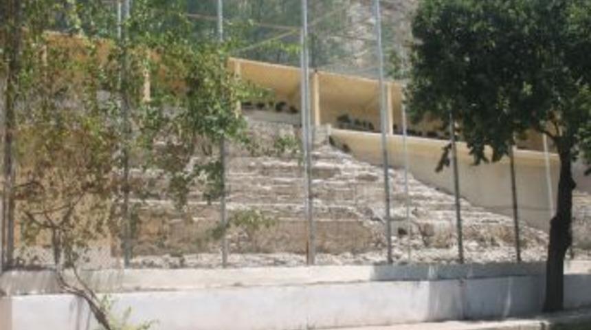 Birecik'teki milli parkta &uuml;retilen kelaynak kuşları g&ouml;&ccedil; yolunda