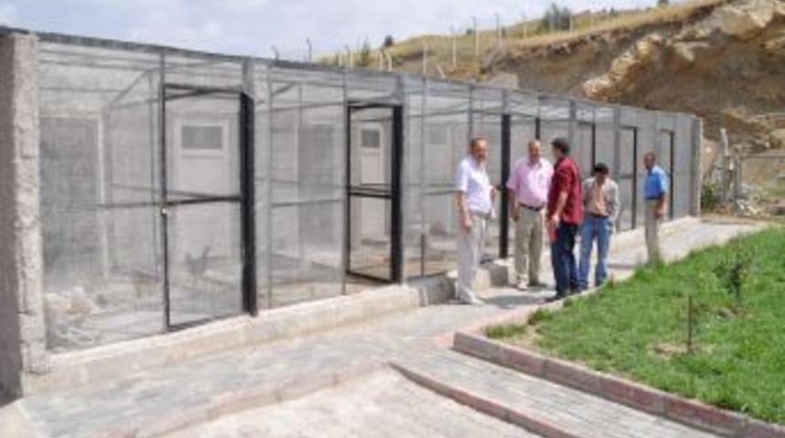 Engelliler hobi bah&ccedil;elerinde doğal ortamda rehabilite ediliyor