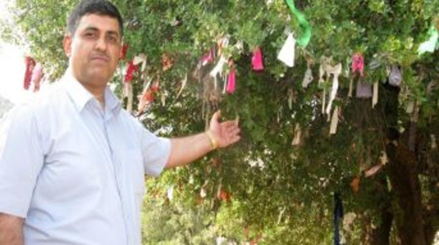 Araban M&uuml;ft&uuml;s&uuml; Sevin&ccedil;, hurafelere karşı uyardı