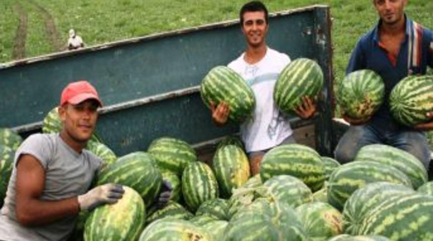 Sıcak hava karpuzu yaktı, fiyatları artırdı