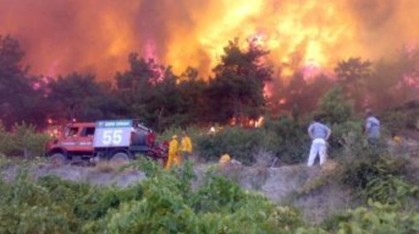 Terör örgütünün ormanları hedef alması polisi harekete geçirdi