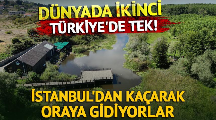 İstanbul'dan ka&ccedil;arak oraya gidiyorlar