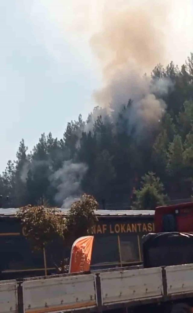 Karab&uuml;k&rsquo;te ormanlık alanda &ccedil;ıkan &ouml;rt&uuml; yangını s&ouml;nd&uuml;r&uuml;ld&uuml; 9