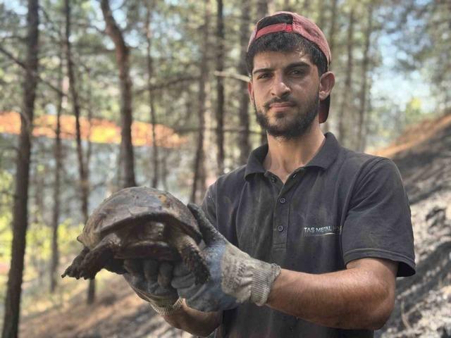 Karab&uuml;k&rsquo;te ormanlık alanda &ccedil;ıkan &ouml;rt&uuml; yangını s&ouml;nd&uuml;r&uuml;ld&uuml; 6