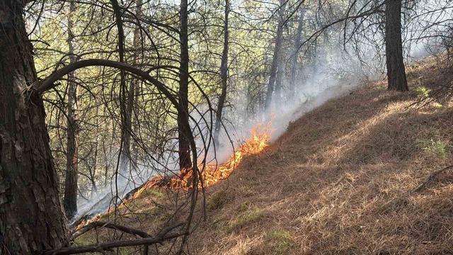 Karab&uuml;k&rsquo;te ormanlık alanda &ccedil;ıkan &ouml;rt&uuml; yangını s&ouml;nd&uuml;r&uuml;ld&uuml; 2