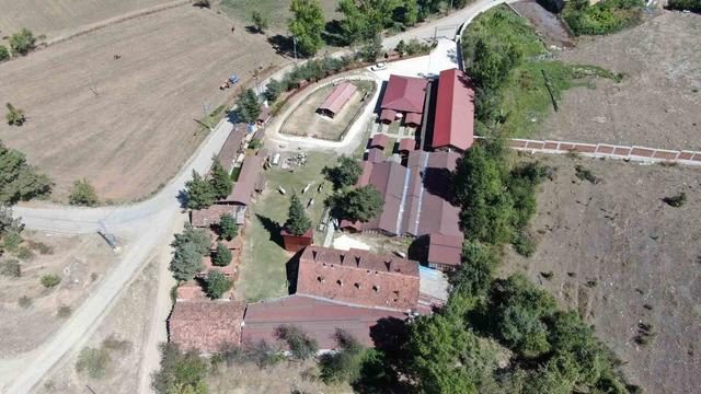 B&uuml;y&uuml;kada&rsquo;da kullanımı yasaklanan atlar, &ccedil;iftlikleriyle meşhur Daday&rsquo;da sahiplendirildi 1