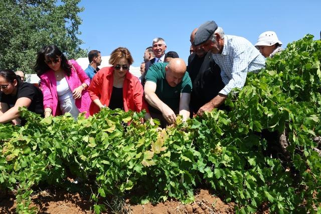 Adıyaman da bağ bozumu şenlikleri başladı 2