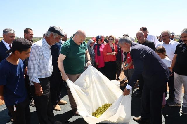 Adıyaman da bağ bozumu şenlikleri başladı 1