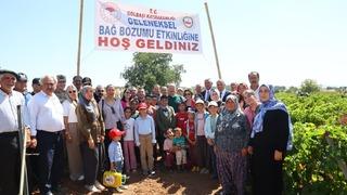 Adıyaman'da bağ bozumu şenlikleri başladı