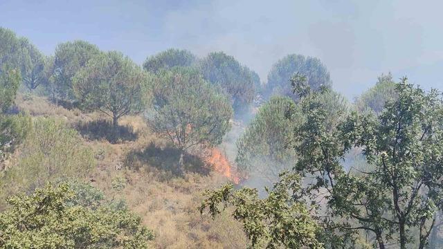 Burhaniye de yangın orman ekipleriyle s&ouml;nd&uuml;r&uuml;ld&uuml; 3